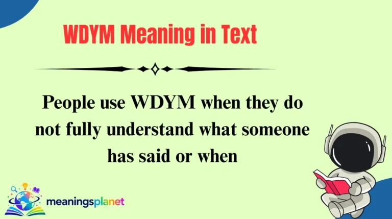 WDYM Meaning in Text